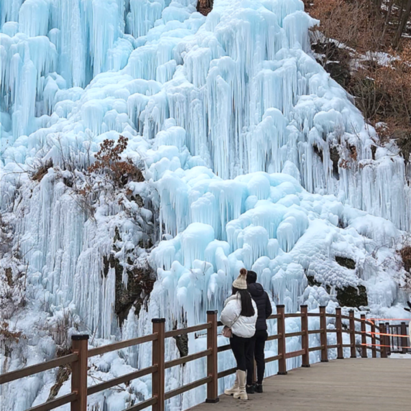 Pre-Set Tour : Winter Nami Island & Nearby - Image 2