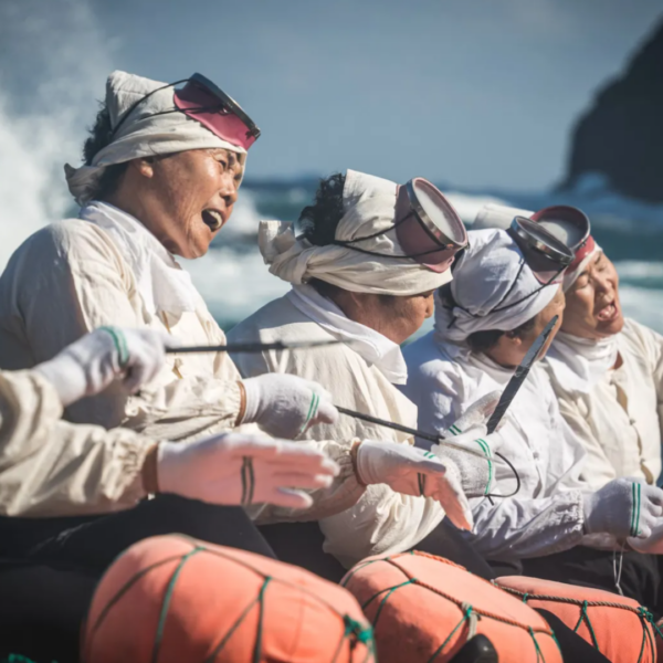 1 Day Private Jeju Island Tour - Image 4