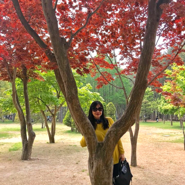 Pre-Set Tour : Nami Island & Nearby - Image 4