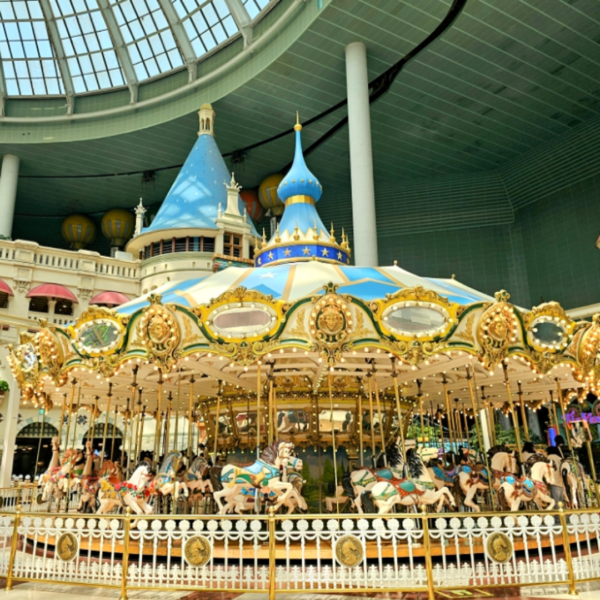 LotteWorld Private Round Transfer + 1 Day Pass - Image 4