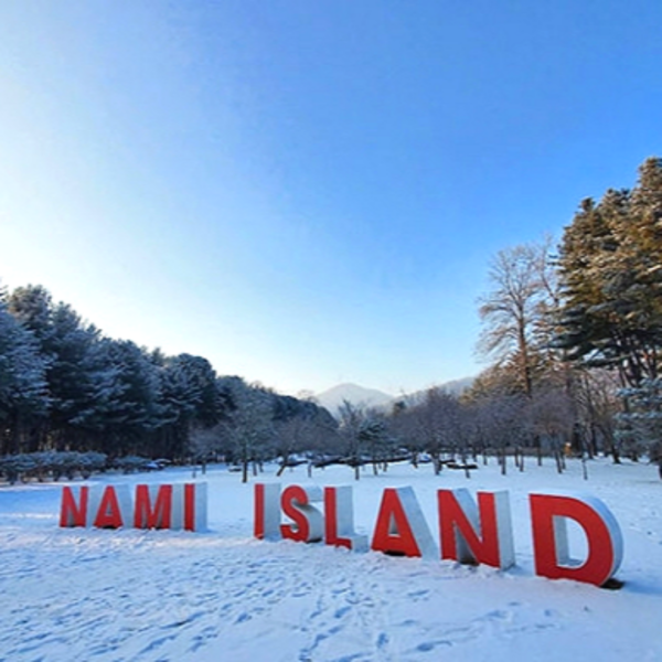 Pre-Set Tour : Winter Nami Island & Nearby - Image 5