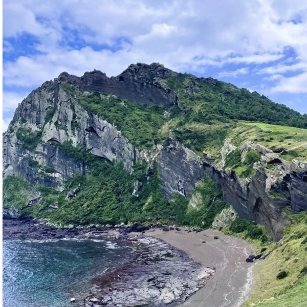 1 Day Private Jeju Island Tour - Image 2