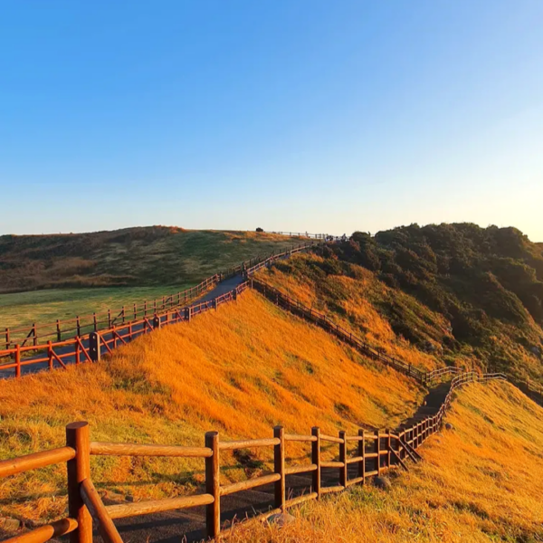 1 Day Private Jeju Island Tour - Image 6