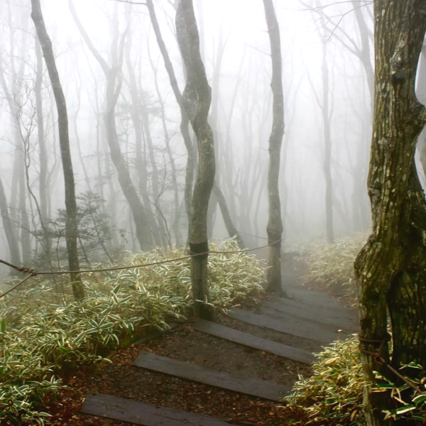 1 Day Private Jeju Island Tour - Image 7